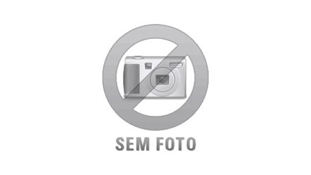 Esteira p/ Descarga de Gelo a Granel (Ice Truck)